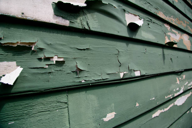 Best Siding for New Construction  in St Paul, NE