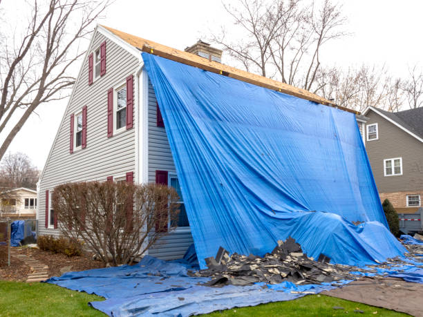 Best Brick Veneer Siding  in St Paul, NE